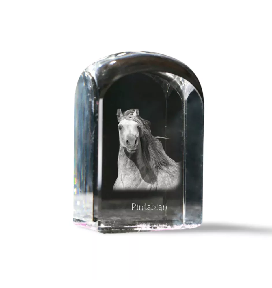 Pintabian - crystal cube with a photo, photo of a horse in crystal, cubic paperweight from Art-Dog brand