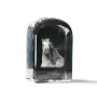 Pintabian - un cube de cristal avec une photo, une photo de cheval dans le cristal, un presse-papiers cubique de la marque Art-Dog