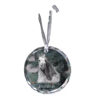 Pintabian - boule de Noël en cristal avec une photo, photo de cheval dans le cristal, décoration personnalisée pour sapin de Noël de la marque Art-Dog