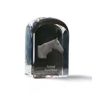 Cheval de course à la retraite - un cube de cristal avec une photo, une photo de cheval dans le cristal, un presse-papiers cubique de la marque Art-Dog