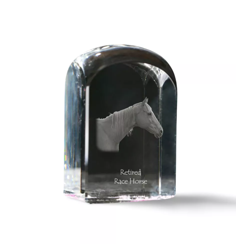 Retired Race Horse - crystal cube with a photo, photo of a horse in crystal, cubic paperweight from Art-Dog brand