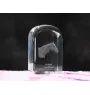 Retired Race Horse - crystal cube with a photo, photo of a horse in crystal, cubic paperweight from Art-Dog brand