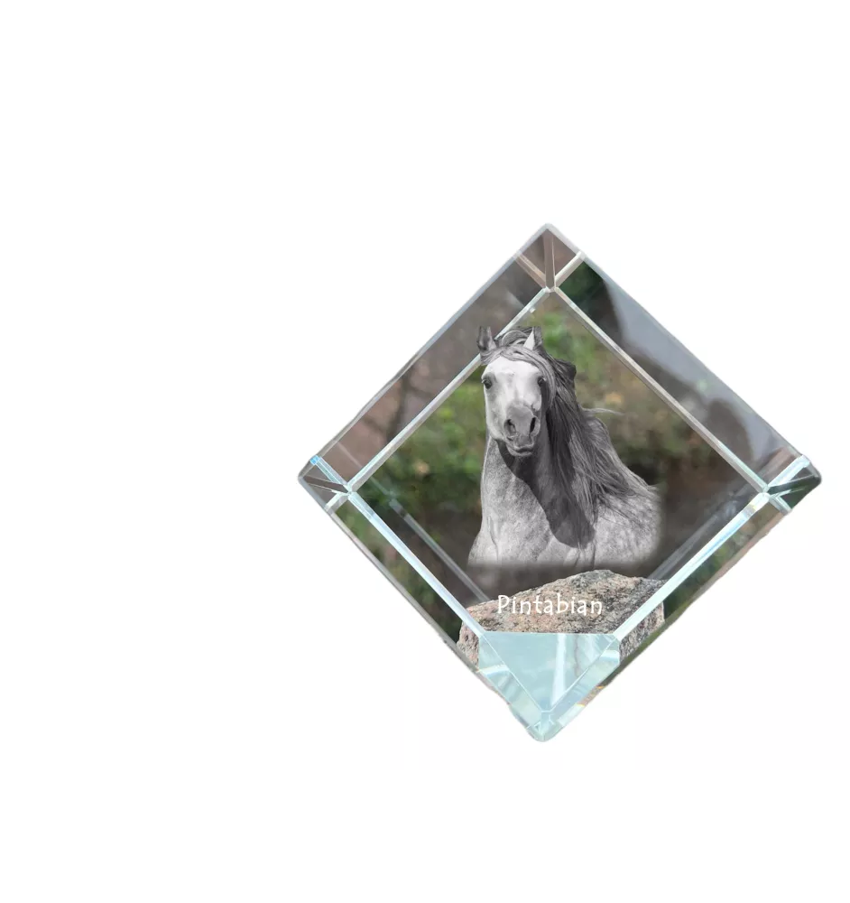 Pintabian - un cube de cristal avec une photo de cheval, une photo de cheval dans le cristal, un presse-papiers cubique de la marque Art-Dog