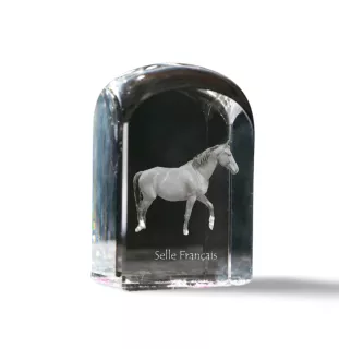 Selle Francais - Kristallwürfel mit Bild, Pferdebild im Kristall, sechseckiger Papierclip der Marke Art-Dog
