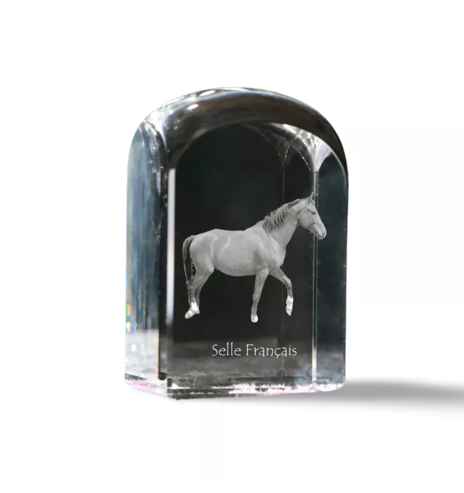 Selle Français - un cube de cristal avec une photo, une photo de cheval dans le cristal, un presse-papiers cubique de la marque Art-Dog
