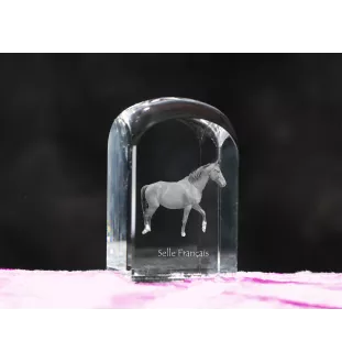 Selle Francais - crystal cube with a photo, photo of a horse in crystal, cubic paperweight from Art-Dog brand