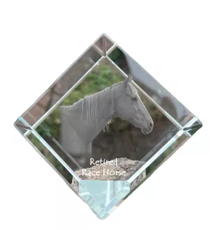 Retired Race Horse - crystal cube with a horse picture, horse picture in crystal, cubic paperweight from Art-Dog brand
