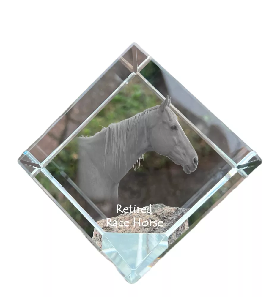 Cheval de course à la retraite - un cube de cristal avec une photo de cheval, une photo de cheval dans le cristal, un presse-papiers cubique de la marque Art-Dog