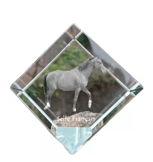 Selle Français - un cube de cristal avec une photo de cheval, une photo de cheval dans le cristal, un presse-papiers cubique de la marque Art-Dog