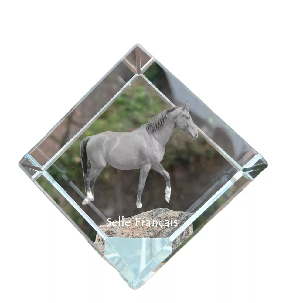 Selle Francais kostka kryształowa z koniem Art-Dog