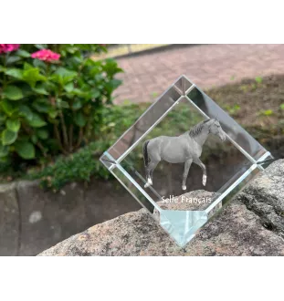 Selle Francais - crystal cube with a horse picture, horse picture in crystal, cubic paperweight from Art-Dog brand