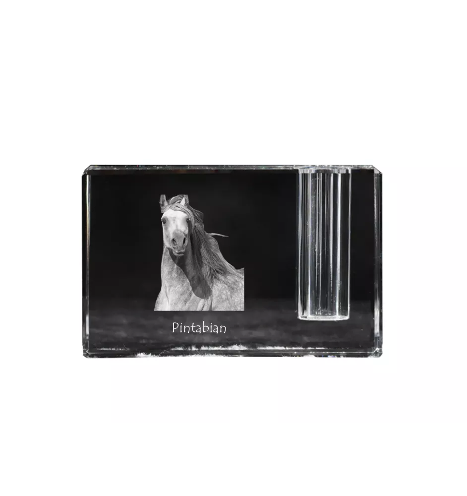 Pintabian - Pen stand, crystal organiser with picture of a horse, unique desk decoration by Art-Dog brand