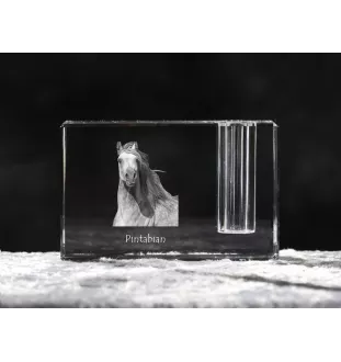 Pintabian - Pen stand, crystal organiser with picture of a horse, unique desk decoration by Art-Dog brand