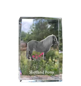 Shetlandpony - Kristall mit einem Pferdebild, Bild im Glas, moderne Ausstellung des Art-Dog-Bildes.