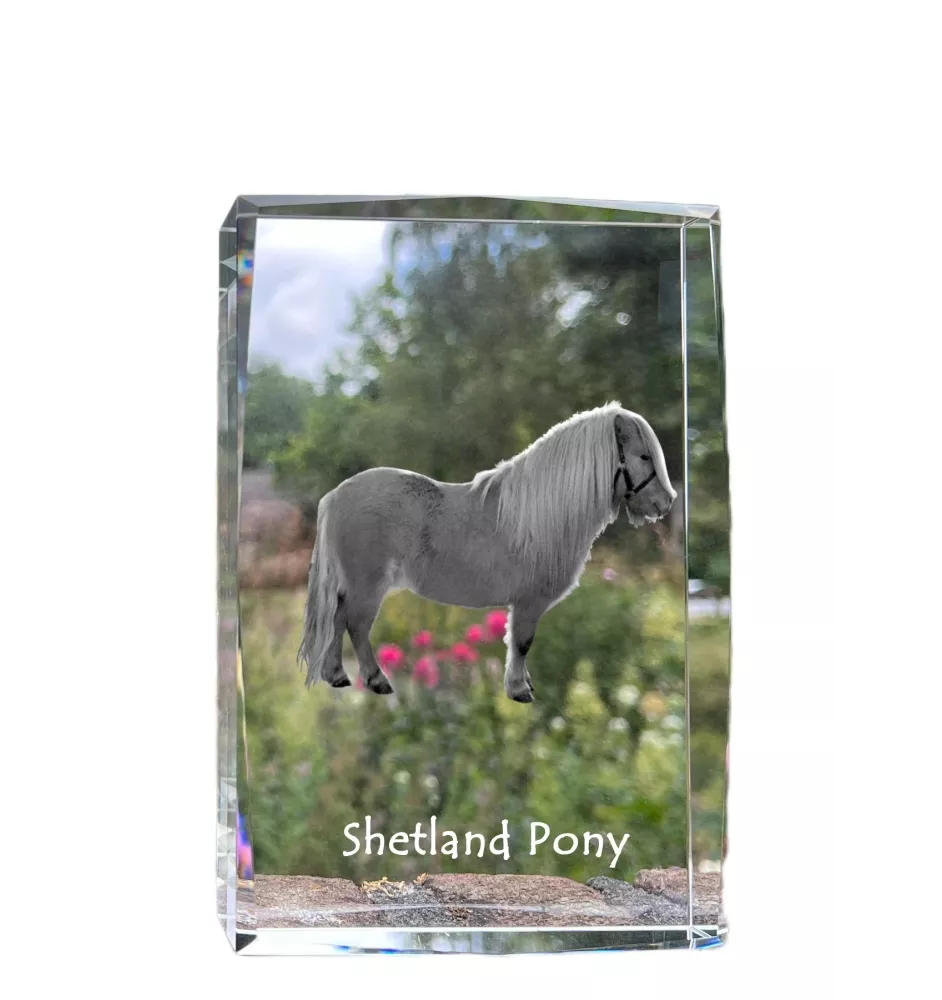 Shetland Pony - crystal with a picture of a horse, photo in glass, modern exhibition of Art-Dog brand photo