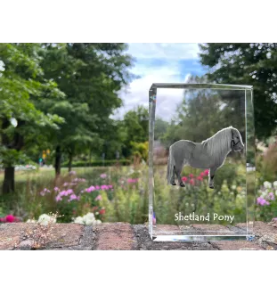Shetland Pony - crystal with a picture of a horse, photo in glass, modern exhibition of Art-Dog brand photo