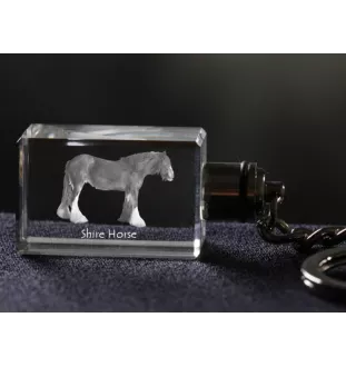 Comté - Pendentif en cristal avec photo de cheval, pendentif lumineux, cadeau unique de la marque Art-Dog