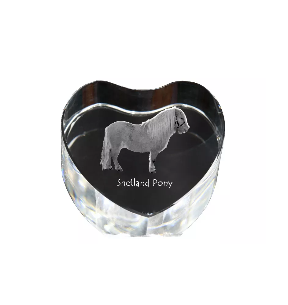 Shetland Pony - a photo of a horse in crystal, a crystal heart, a unique frame with a photo from the Art-Dog brand