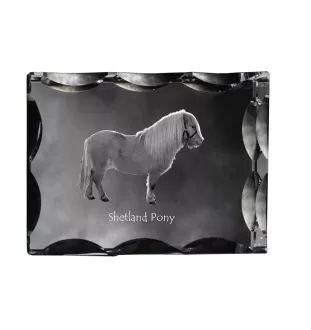 Shetlandpony - crystal with a picture of a horse, glass statuette with a picture, unique frame with a picture from Art-Dog brand