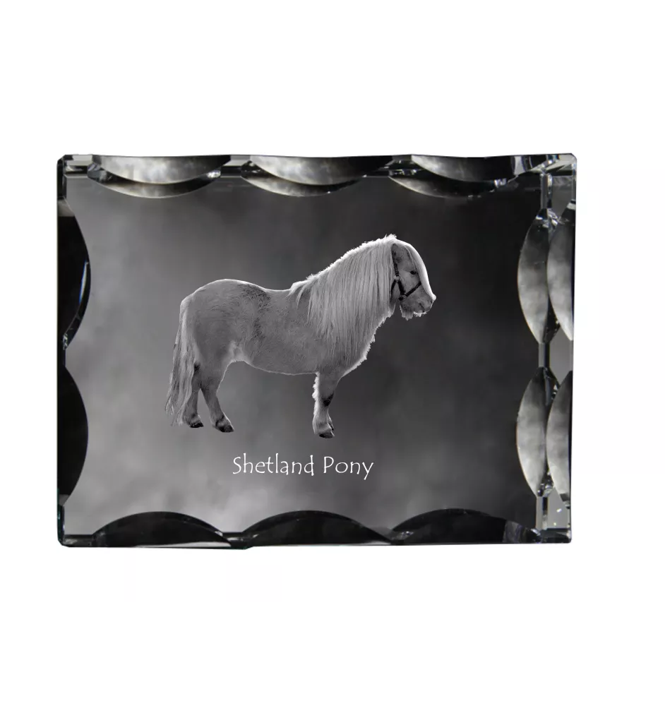 Shetlandpony - crystal with a picture of a horse, glass statuette with a picture, unique frame with a picture from Art-Dog brand