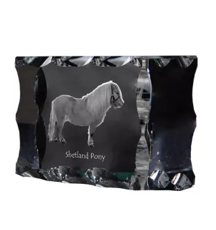 Shetlandpony - crystal with a picture of a horse, glass statuette with a picture, unique frame with a picture from Art-Dog brand