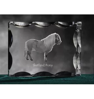 Shetlandpony - crystal with a picture of a horse, glass statuette with a picture, unique frame with a picture from Art-Dog brand