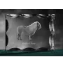 Shetlandpony - crystal with a picture of a horse, glass statuette with a picture, unique frame with a picture from Art-Dog brand