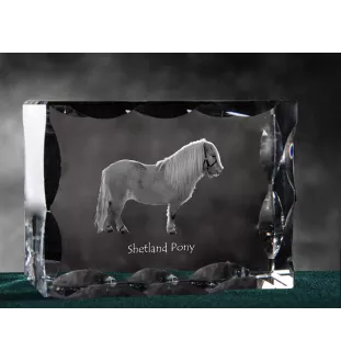 Shetlandpony - crystal with a picture of a horse, glass statuette with a picture, unique frame with a picture from Art-Dog brand