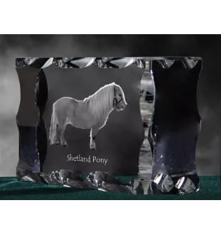 Shetland Pony - kryształ ze zdjęciem konia, szklana statuetka ze zdjęciem, wyjątkowa ramka ze zdjęciem marki Art-Dog