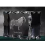 Shetlandpony - crystal with a picture of a horse, glass statuette with a picture, unique frame with a picture from Art-Dog brand