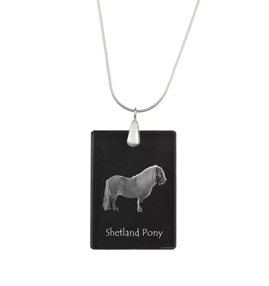 Shetlandpony - Crystal pendant with horse, silver necklace with photo, personalised pendant by Art-Dog brand