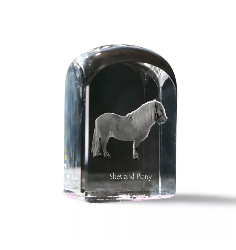 Shetlandpony - Kristallwürfel mit Bild, Pferdebild im Kristall, sechseckiger Papierclip der Marke Art-Dog