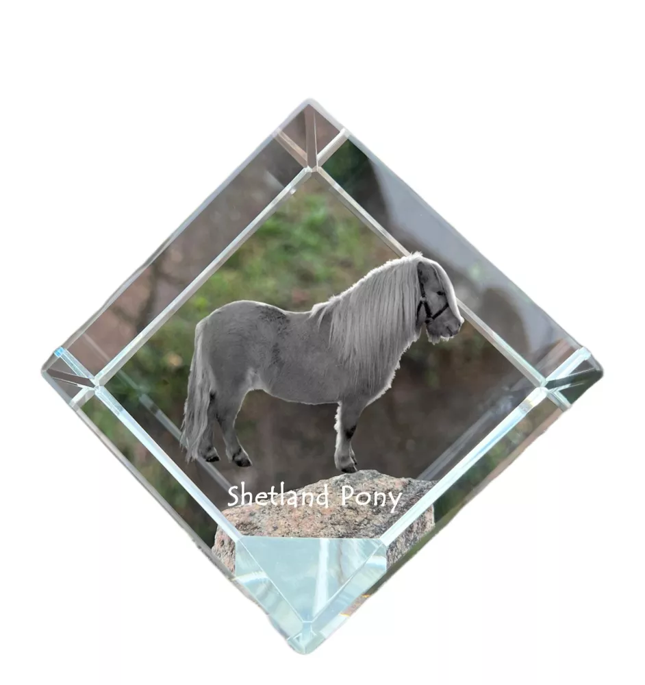 Shetlandpony - Kristallwürfel mit Pferdebild, Pferdebild im Kristall, sechseckiger Papierclip der Marke Art-Dog