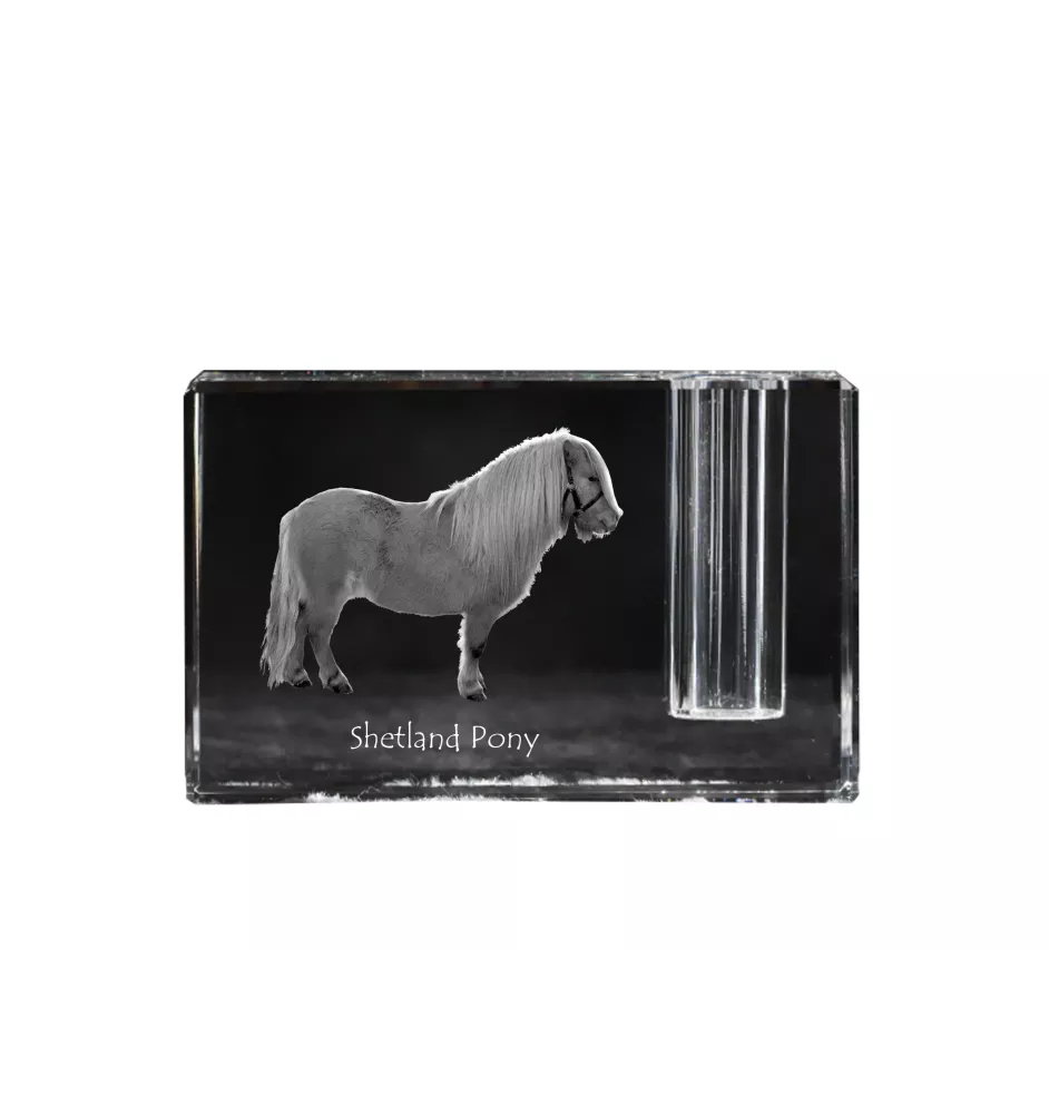 Poney Shetland - Porte-stylos, organiseur en cristal avec image d'un cheval, décoration de bureau unique par la marque Art-Dog