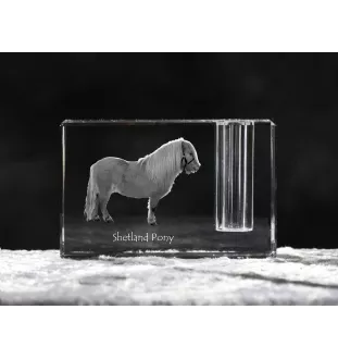 Poney Shetland - Porte-stylos, organiseur en cristal avec image d'un cheval, décoration de bureau unique par la marque Art-Dog