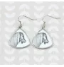 Shetland Pony - earrings with a horse, hanging earrings with a picture, personalized jewelry with Art-Dog brand print