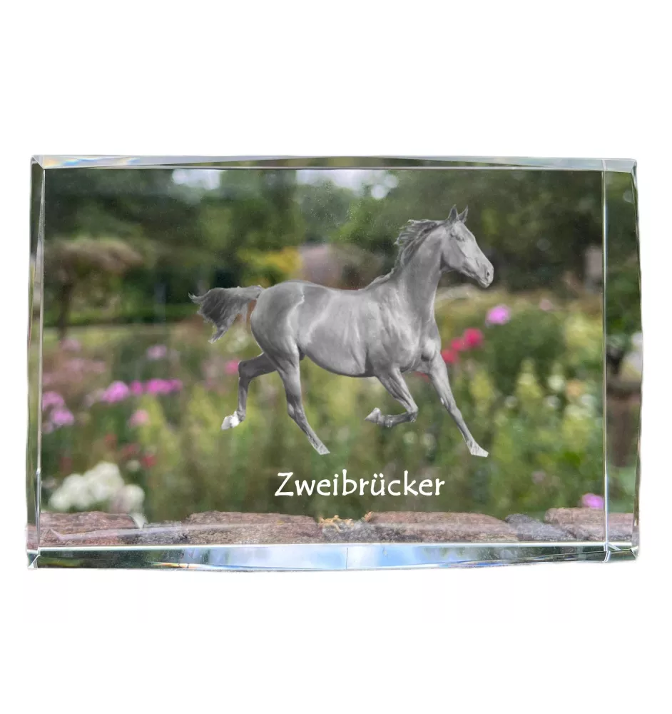 Zweibrücker - Kristall mit einem Pferdebild, Bild im Glas, moderne Ausstellung des Art-Dog-Bildes.