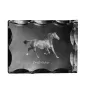 Zweibrücker - crystal with a picture of a horse, glass statuette with a picture, unique frame with a picture from Art-Dog brand