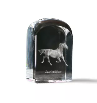 Zweibrücker - Kristallwürfel mit Bild, Pferdebild im Kristall, sechseckiger Papierclip der Marke Art-Dog