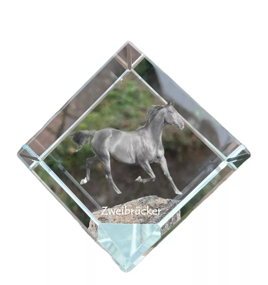 Zweibrücker - un cube de cristal avec une photo de cheval, une photo de cheval dans le cristal, un presse-papiers cubique de la marque Art-Dog