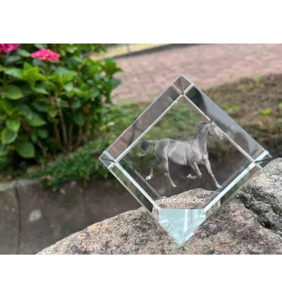 Zweibrücker - Kristallwürfel mit Pferdebild, Pferdebild im Kristall, sechseckiger Papierclip der Marke Art-Dog