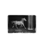 Zweibrücker - Porte-stylos, organiseur en cristal avec image d'un cheval, décoration de bureau unique par la marque Art-Dog