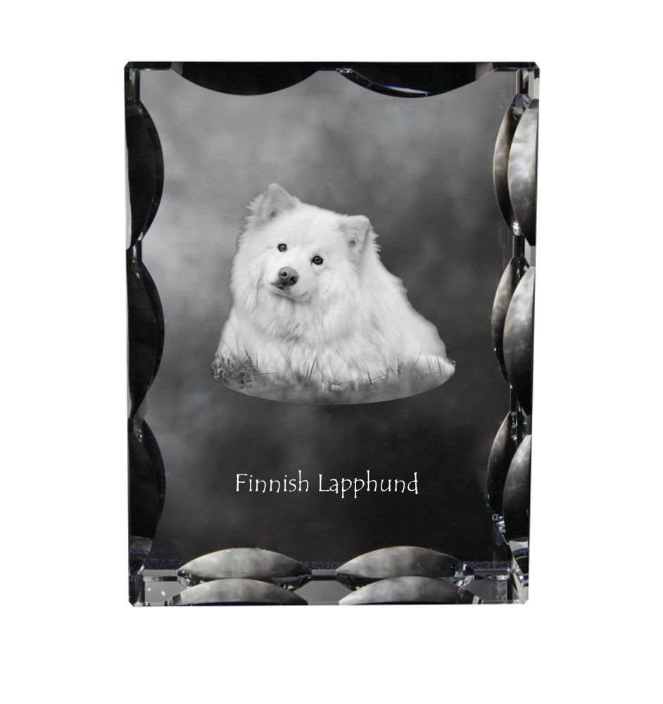 Finnischer Lapphund, Suomenlapinkoira, Lapinkoira - Kristall mit einem Hundebild, Glasstatuette mit einem Bild, einzigartiger Bilderrahmen der Marke Art-Dog