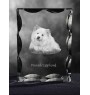 Finnish Lapphund, Finnish Lapponian Dog - crystal with a picture of a dog, glass statuette with a picture, unique frame with a picture from Art-Dog brand