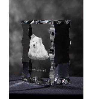 Finnischer Lapphund, Suomenlapinkoira, Lapinkoira - Kristall mit einem Hundebild, Glasstatuette mit einem Bild, einzigartiger Bilderrahmen der Marke Art-Dog