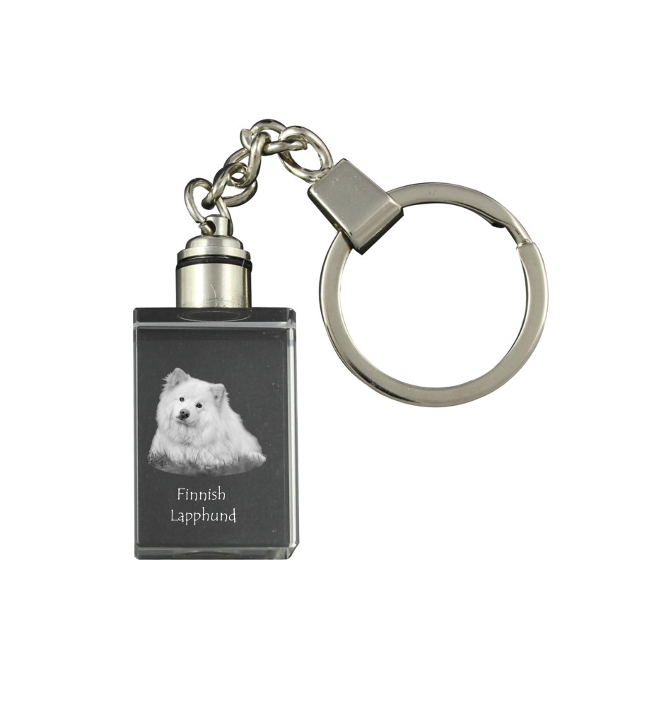Finnischer Lapphund, Suomenlapinkoira, Lapinkoira - Schlüsselanhänger aus Kristall mit Hundefoto, beleuchteter Schlüsselanhänger, einzigartiges Geschenk der Marke Art-Dog