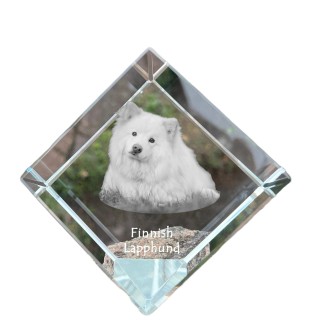 Finnischer Lapphund, Suomenlapinkoira, Lapinkoira - Kristallwürfel mit Bild, Pferdebild im Kristall, sechseckiger Papierclip der Marke Art-Dog
