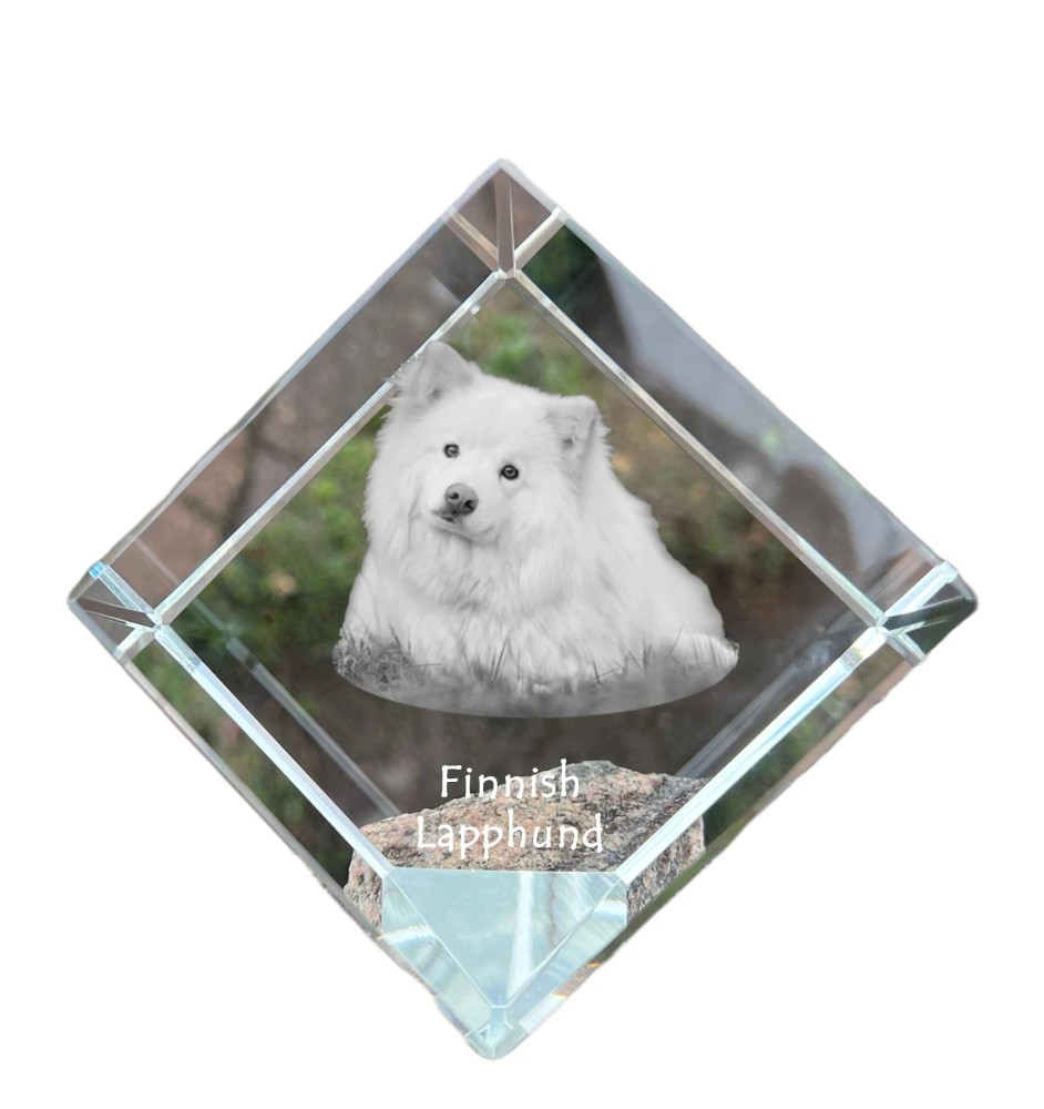 Fiński lapphund kostka kryształowa z psem Art-Dog