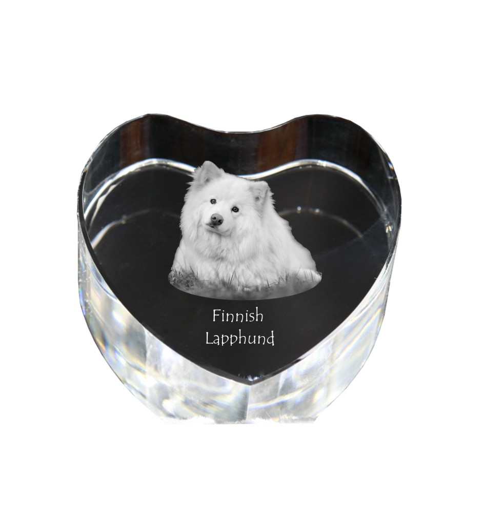 Finnish Lapphund, Finnish Lapponian Dog - a photo of a dog in crystal, crystal heart, unique photo frame from the Art-Dog brand