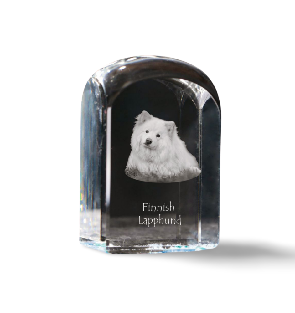Finnischer Lapphund, Suomenlapinkoira, Lapinkoira - Kristallwürfel mit Bild, Hundebild im Kristall, sechseckiger Papierclip von Art-Dog.